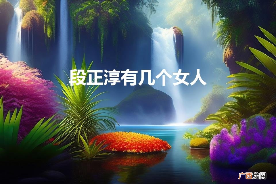 段正淳有几个女人（段正淳有几个女人,几个女儿儿子)