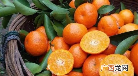 狂炫砂糖橘会胖吗 狂炫砂糖橘原视频