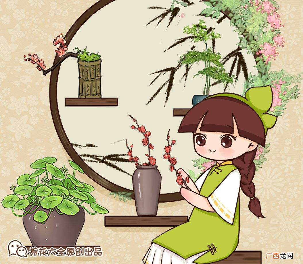 古代花中四君子是什么植物 四君子花中的四君子是指哪几个