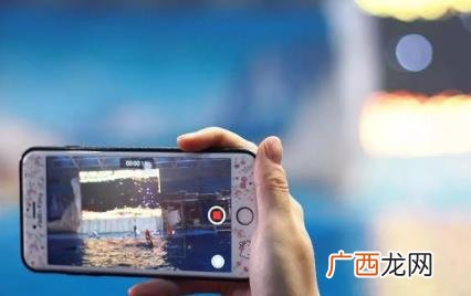 雀食蟀这个梗怎么来的 雀食蟀什么梗
