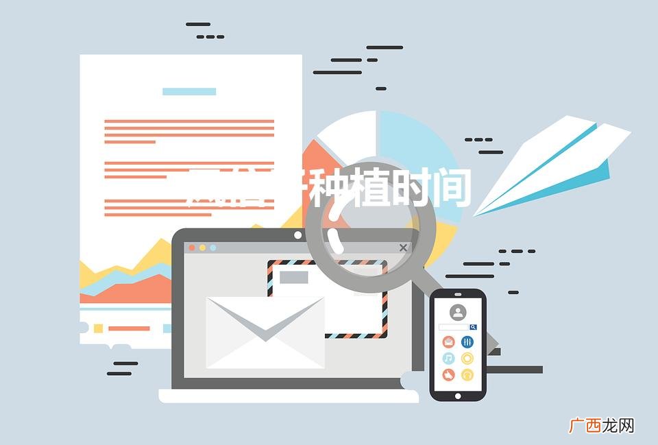 风信子种植时间（风信子怎么种植)