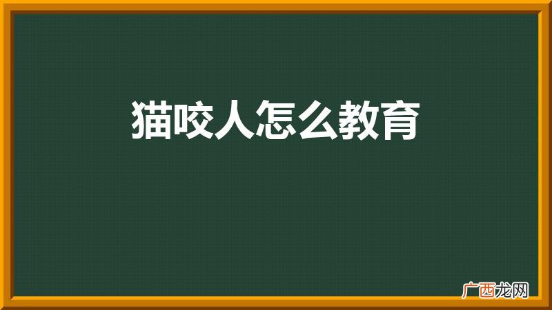 猫咬人下狠口怎么教育 猫咬人怎么教育