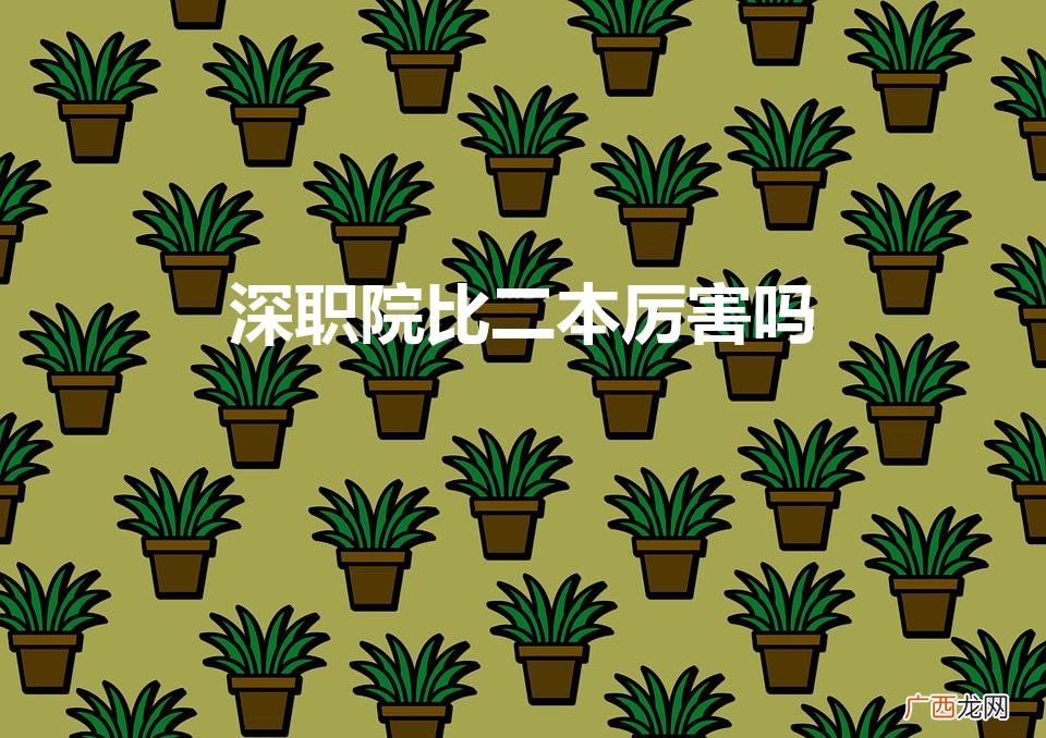 深职院比二本厉害吗 出来好找工作吗 深职院比二本厉害吗