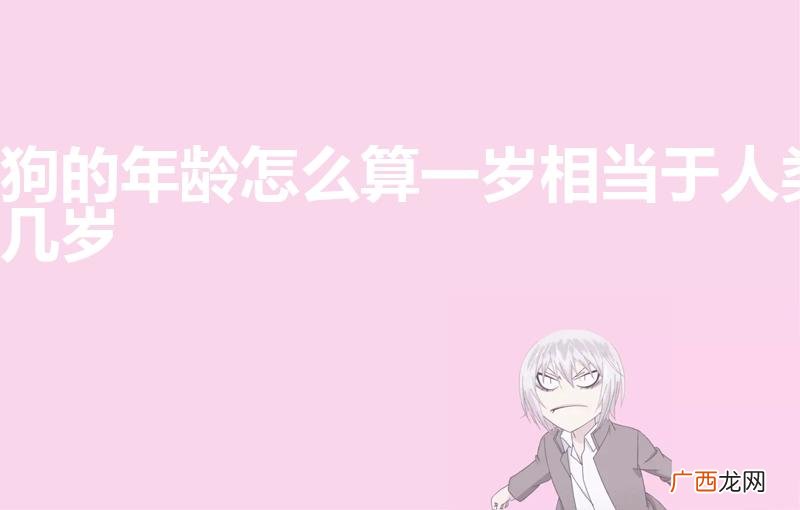 狗一岁是人的几岁 狗的年龄怎么算一岁相当于人类几岁