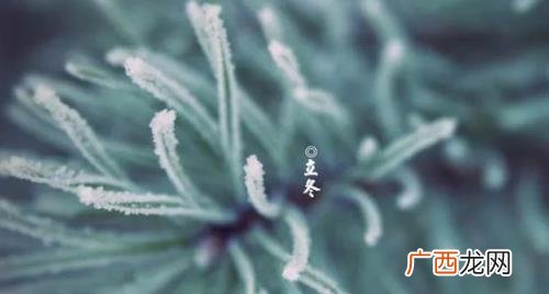 冬至上坟是冬至当天吗 冬至前上坟还是冬至后上坟