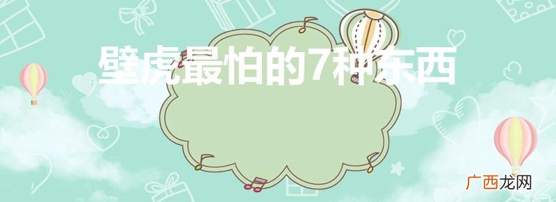 壁虎最怕的7种东西（为什么家里有壁虎一定要打死)