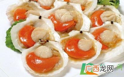 扇贝怎么清洗内脏步骤 扇贝怎么清洗内脏