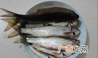 黎族、苗族招待客人的主要菜肴 鱼茶的做法
