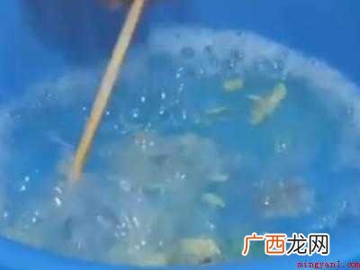 白短袖染色了怎样能洗掉的具体操作步骤 白短袖染色了怎样能洗掉