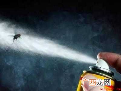 怎样灭苍蝇的具体操作步骤 怎样灭苍蝇