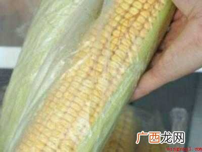 如何保存玉米新鲜玉米的具体操作步骤 如何保存玉米新鲜玉米