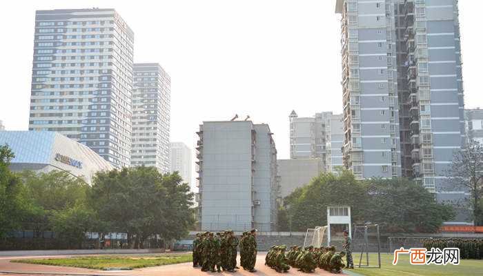 社会实践的意义是什么 社会实践活动有哪些