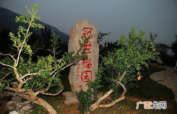 山东枣庄十大旅游景点 枣庄旅游景点大全排名榜