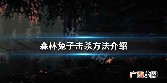 森林兔子怎么杀 森林兔子击杀方法介绍