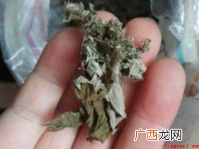 艾草加工方法的具体操作步骤 艾草的加工方法