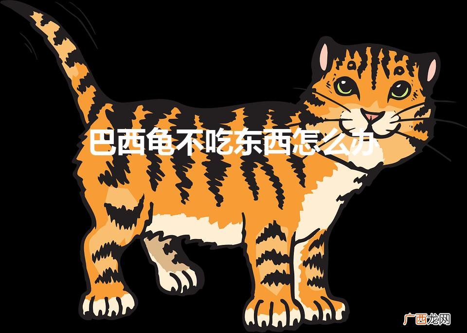 巴西龟不吃东西怎么办（巴西龟不吃东西怎么办是不是病了)