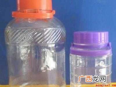 罗汉松果泡酒的具体操作步骤 罗汉松果泡酒的方法
