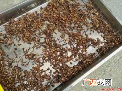 茄子晒干怎么晒法的具体操作步骤 茄子晒干怎么晒法