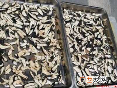 茄子晒干怎么晒法的具体操作步骤 茄子晒干怎么晒法