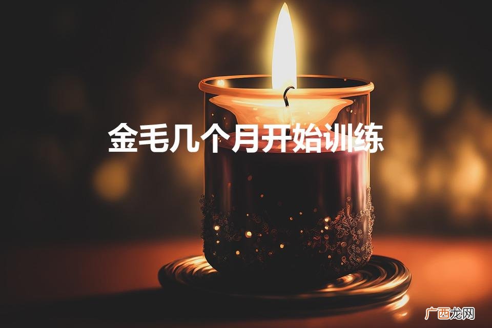 金毛几个月开始训练（金毛狗狗训练方法)