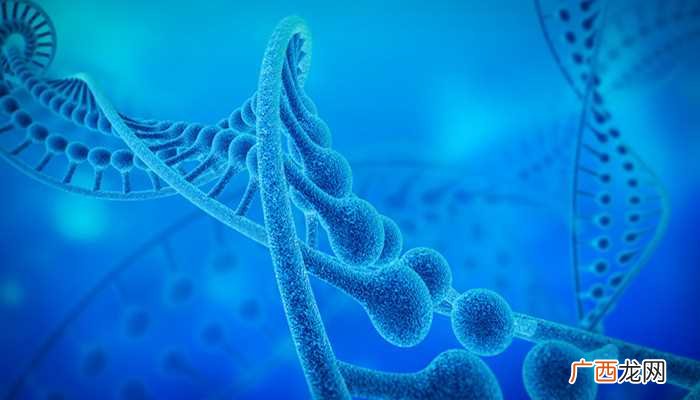 疟原虫是一类单细胞、寄生性的原生动物 疟原虫是什么生物