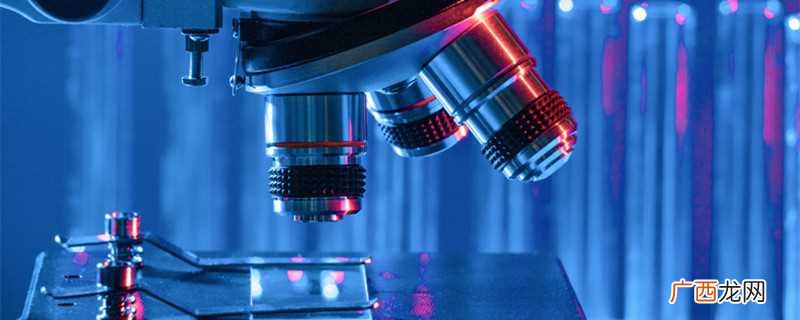 疟原虫是一类单细胞、寄生性的原生动物 疟原虫是什么生物