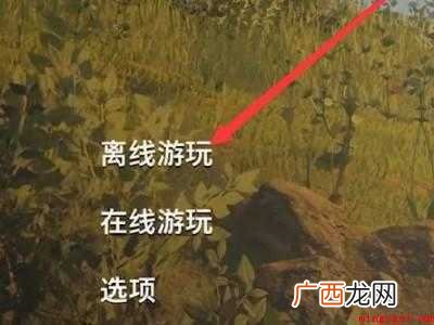 双人成行怎么不分屏的具体操作步骤 双人成行怎么不分屏