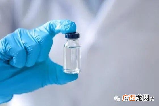 被自家狗咬了怎么处理 还出了血 被自家狗咬了怎么处理