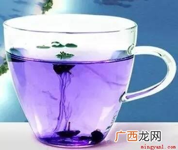 黑枸杞多少钱一斤