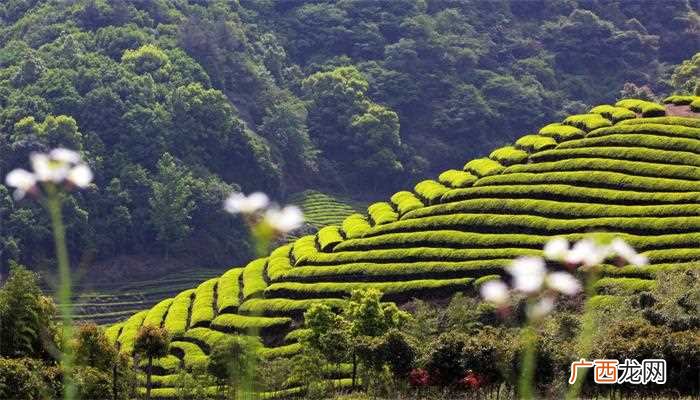 泉南高速公路纵贯县境南北、平汝高速横穿县境东西 茶陵县属于哪个市