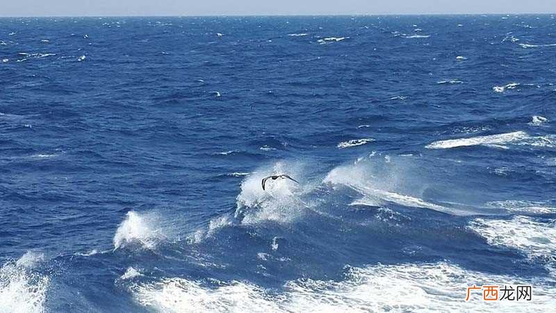 海洋循环主要指海洋中的物质和热量的循环流动 海洋循环主要指什么