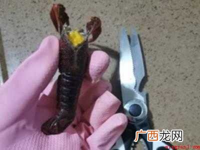 小龙虾线如何快速去除的具体操作步骤 小龙虾线如何快速去除
