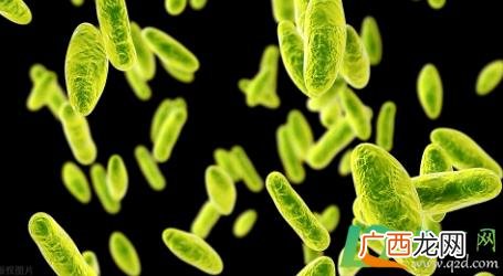 布病是不死的癌症 布病是不死的癌症吗