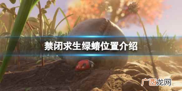 禁闭求生昆虫图鉴怎么获得 禁闭求生绿蝽在哪里