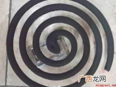 怎么灭水果生的小飞虫的具体操作步骤 怎么灭水果生的小飞虫