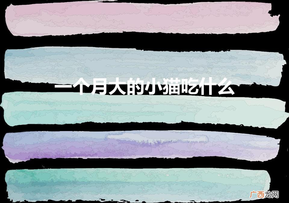 一个月大的小猫吃什么（一个半月的小猫怎么喂养)