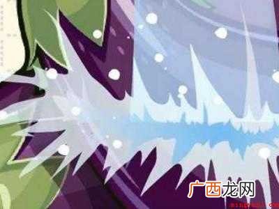 如何晒茄子干的方法的具体操作步骤 如何晒茄子干的方法