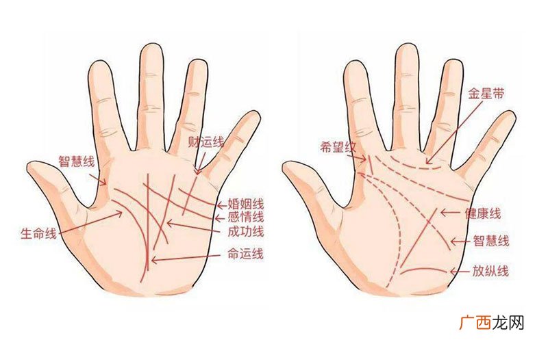看手相看哪只手,男生女生有区别吗