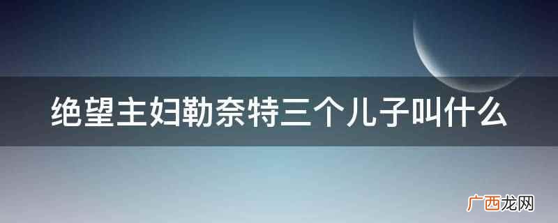 绝望主妇勒奈特发现汤米出轨 绝望主妇勒奈特和汤姆离婚篇