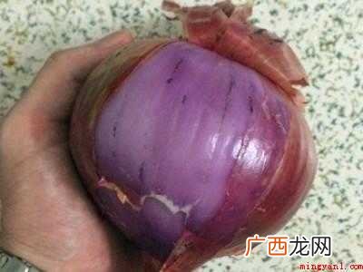 洋葱怎么剥的具体操作步骤 洋葱怎么剥