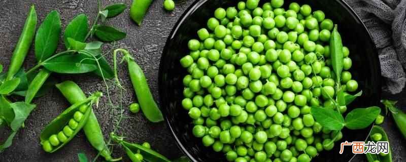 豌豆是豆科一年生攀援草本 豌豆是豆重还是皮重