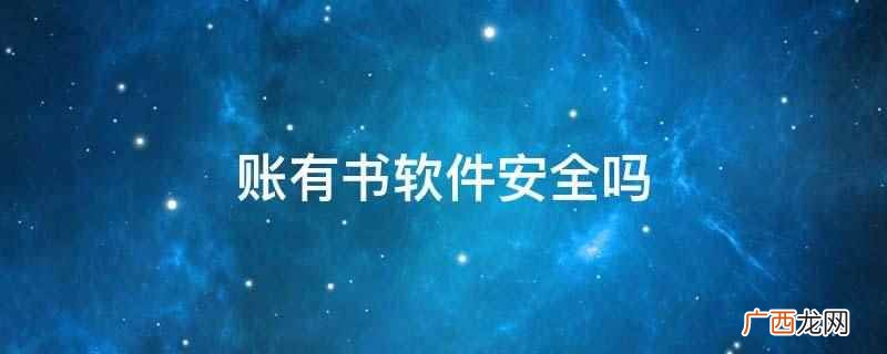 账有书软件安全吗