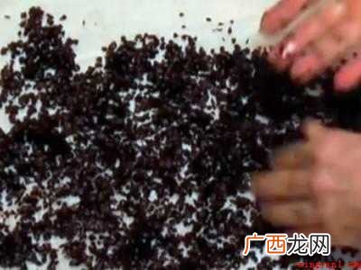 荞麦皮枕头怎么清洗去除螨虫的具体操作步骤 荞麦皮枕头怎么清洗去除螨虫