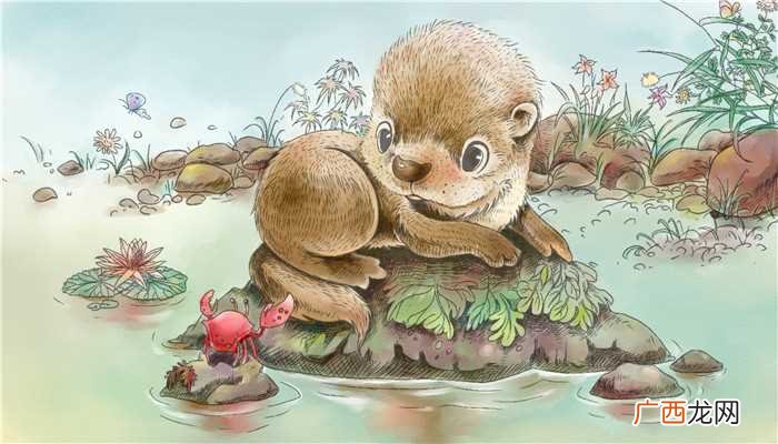 水獭和海獭的区别 海獭和水獭的区别