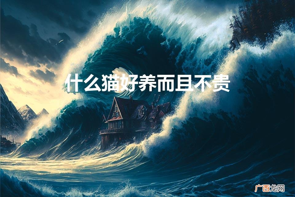 有哪些猫是比较便宜还好养的 什么猫好养而且不贵