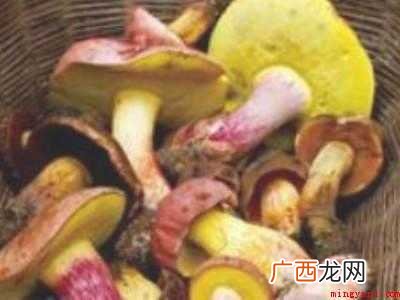 新鲜的野生菌要怎么寄快递的具体操作步骤 新鲜的野生菌要怎么寄快递