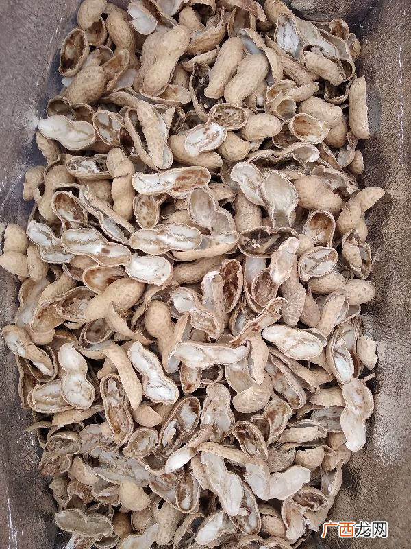 栽种兰花常见的5种植料 养兰花用什么植料最好