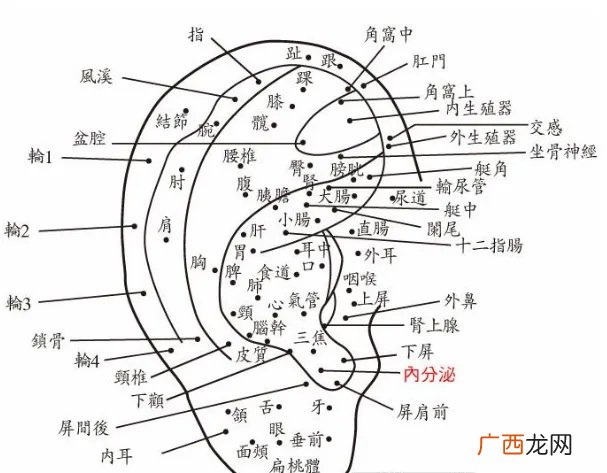 耳朵旁边痣相图解大全 耳朵上长痣代表什么