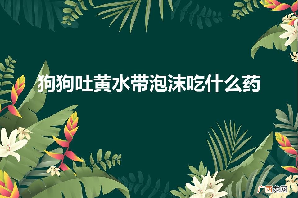 狗狗呕吐黄水泡沫粘液吃什么药 狗狗吐黄水带泡沫吃什么药