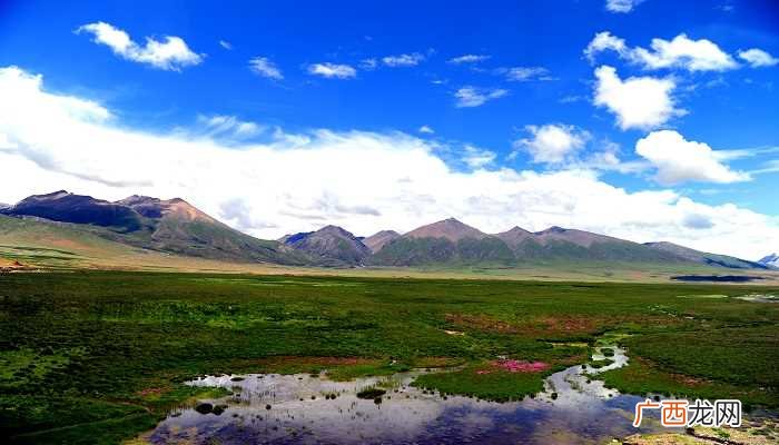 青藏高原是中国最大、世界海拔最高的高原 世界屋脊指的是什么地方
